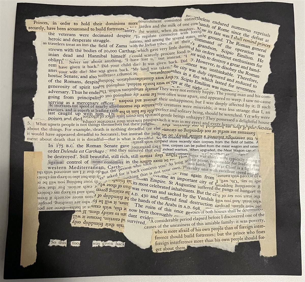 Zama, a collage by Nicholas Tyler Ng